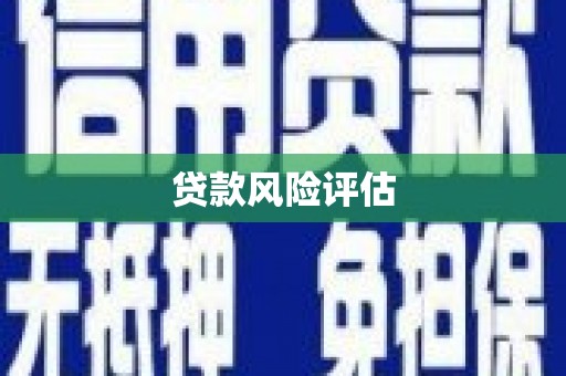 通城贷款风险评估