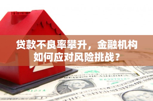 通城贷款不良率攀升，金融机构如何应对风险挑战？