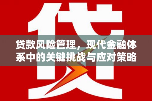 通城贷款风险管理，现代金融体系中的关键挑战与应对策略