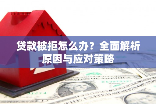 通城贷款被拒怎么办？全面解析原因与应对策略