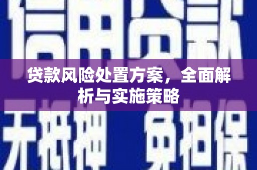 通城贷款风险处置方案，全面解析与实施策略