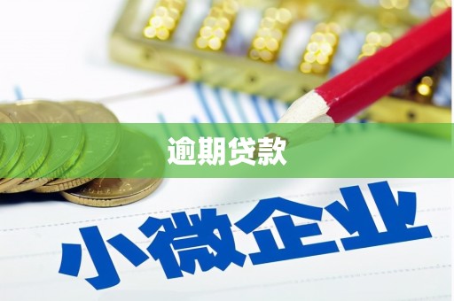 通城逾期贷款